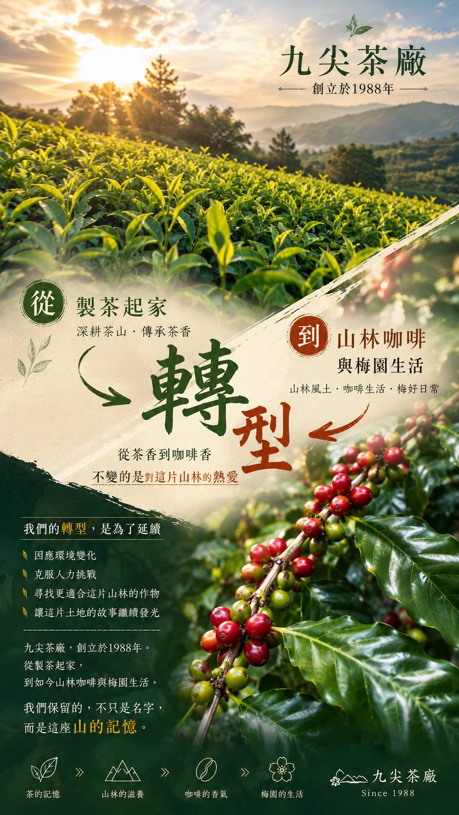 九尖茶廠品牌故事圖:創立於 1988 年,從製茶轉型為山林咖啡與梅園生活,因應環境與人力變化,延續對山林的熱愛