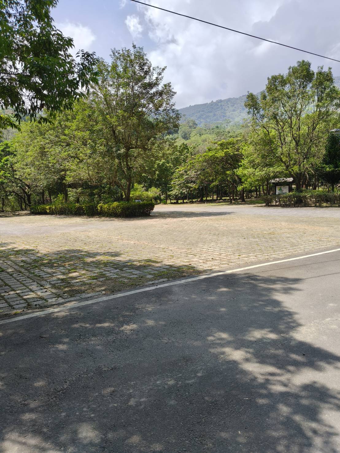 堰塞湖停車場鋪面空間、入口道路與周圍樹木
